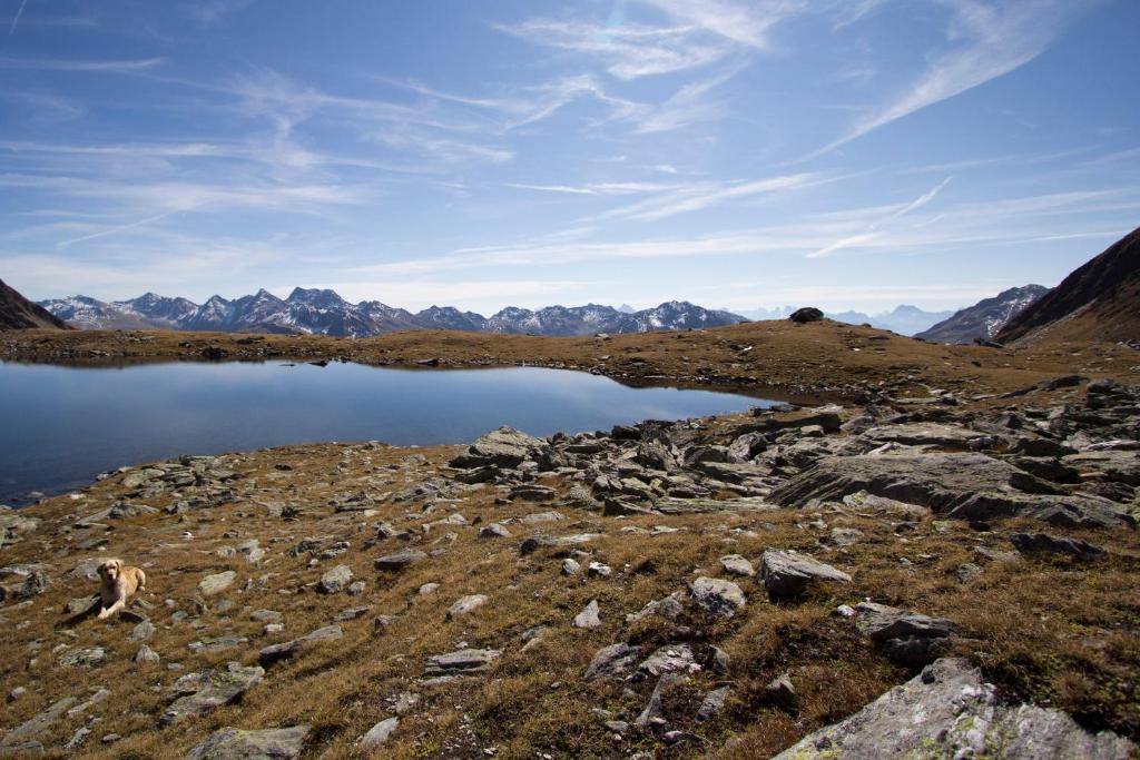 Alpengasthof Zollwirt Sankt Jakob in Defereggen Dış mekan fotoğraf